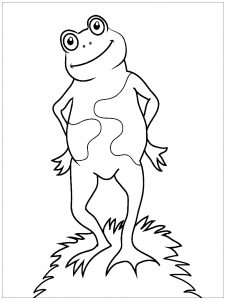 Download Frogs Free Printable Coloring Pages For Kids