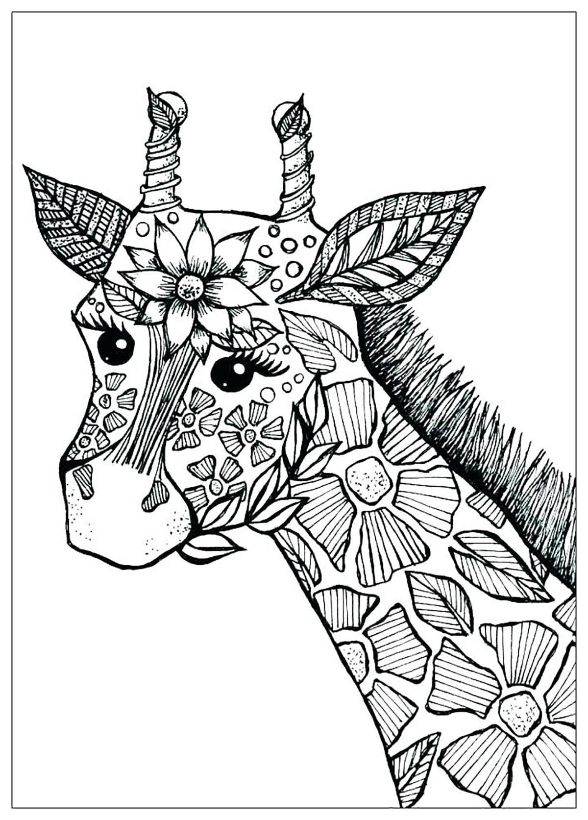 Download Giraffes to download for free - Giraffes Kids Coloring Pages
