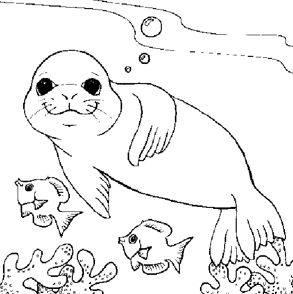 baby sea animals coloring pages