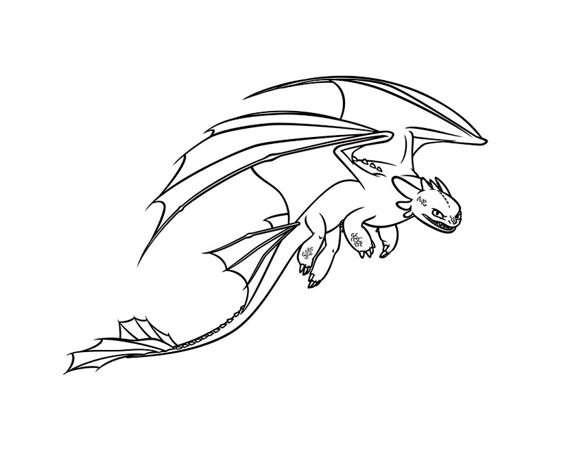 how to train your dragon dragons drawings