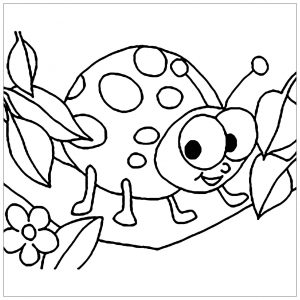 Download Insects Free Printable Coloring Pages For Kids