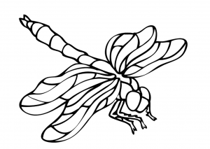 bug coloring pages