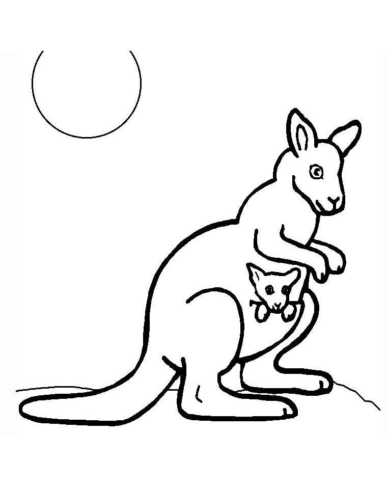 Beautiful Kangaroo Coloring, simple, for children