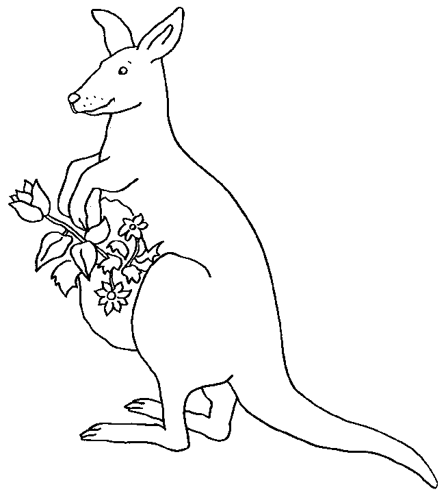 Printable kangaroo coloring pages for kids - Kangaroos Kids Coloring Pages