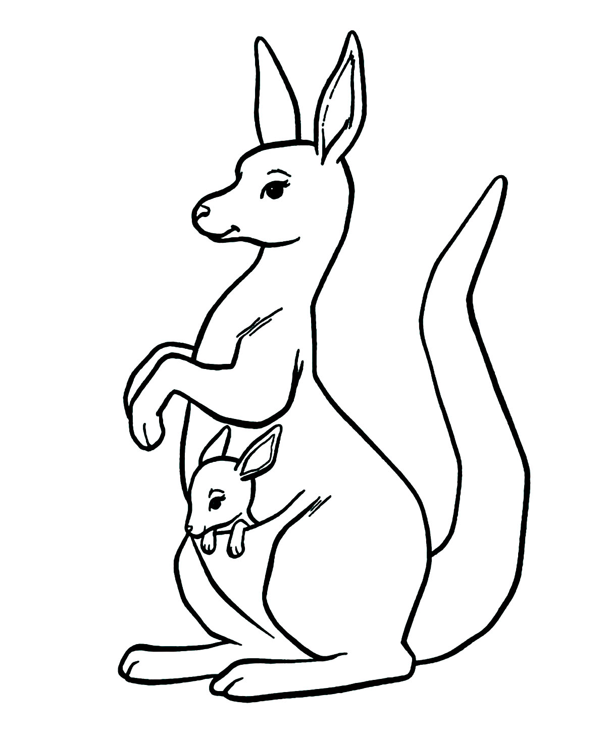 Download Kangaroos to color for kids - Kangaroos Kids Coloring Pages