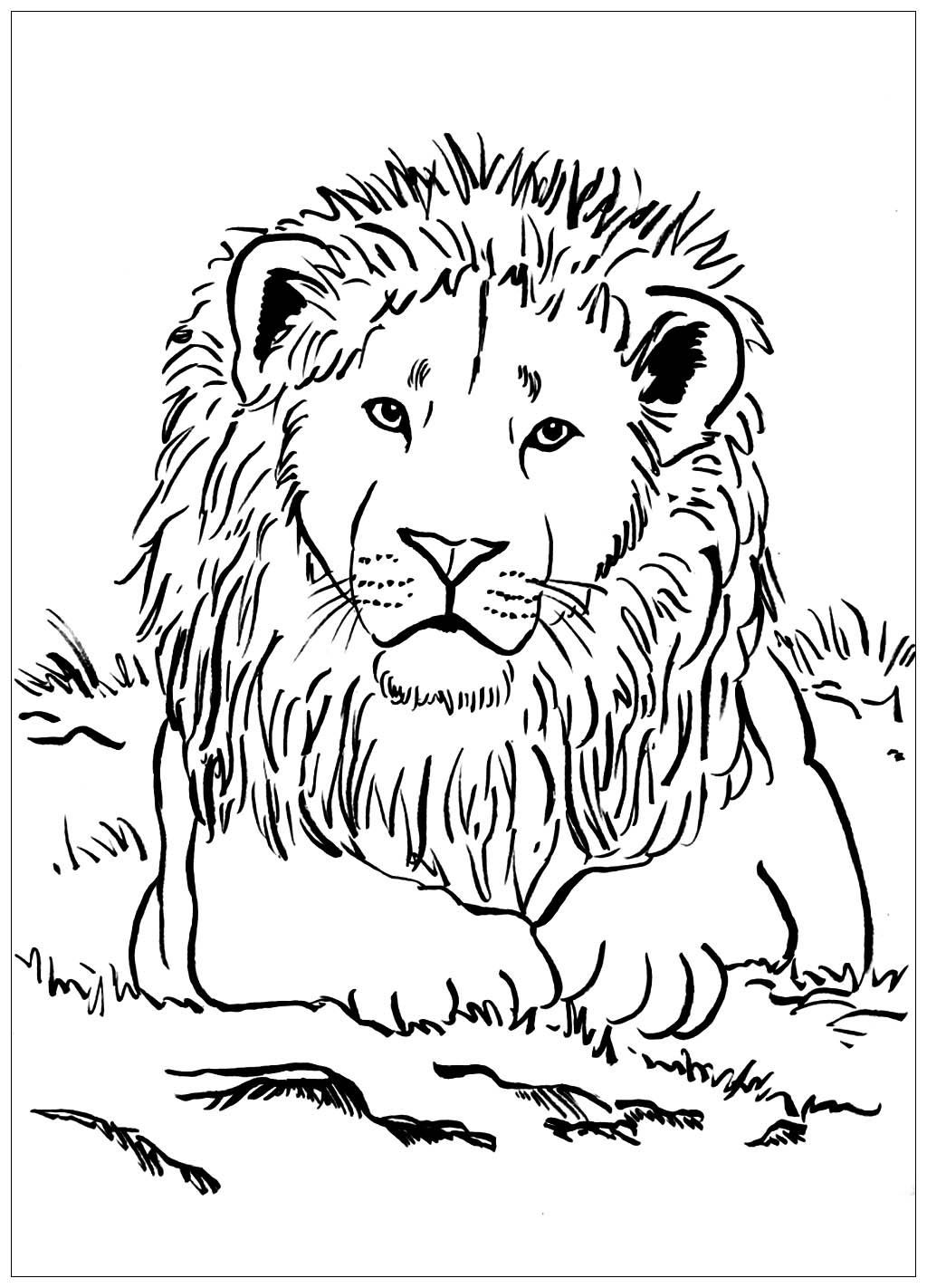 Lion to print for free - Lion Kids Coloring Pages