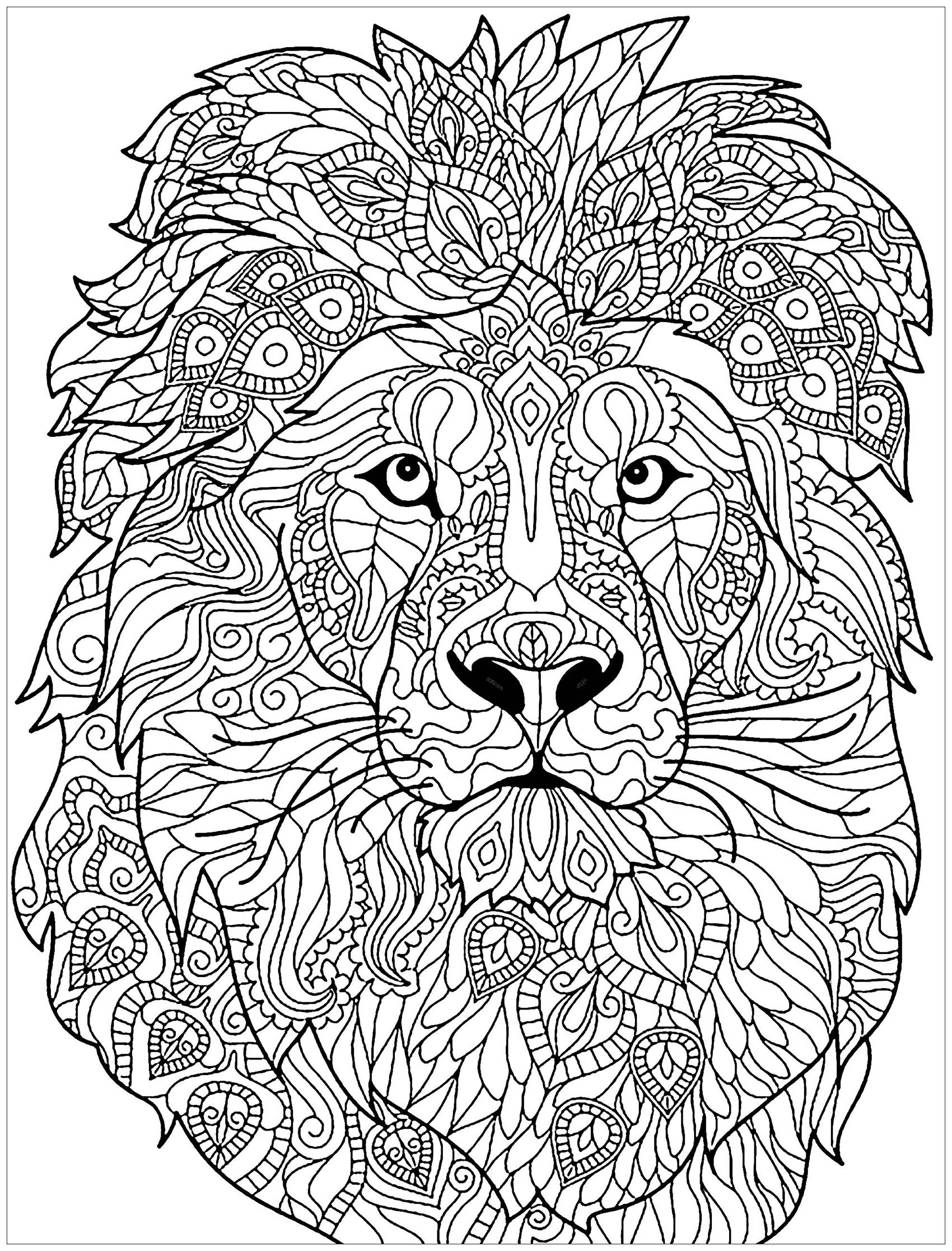 lion-head-with-complex-patterns-to-color-lion-kids-coloring-pages