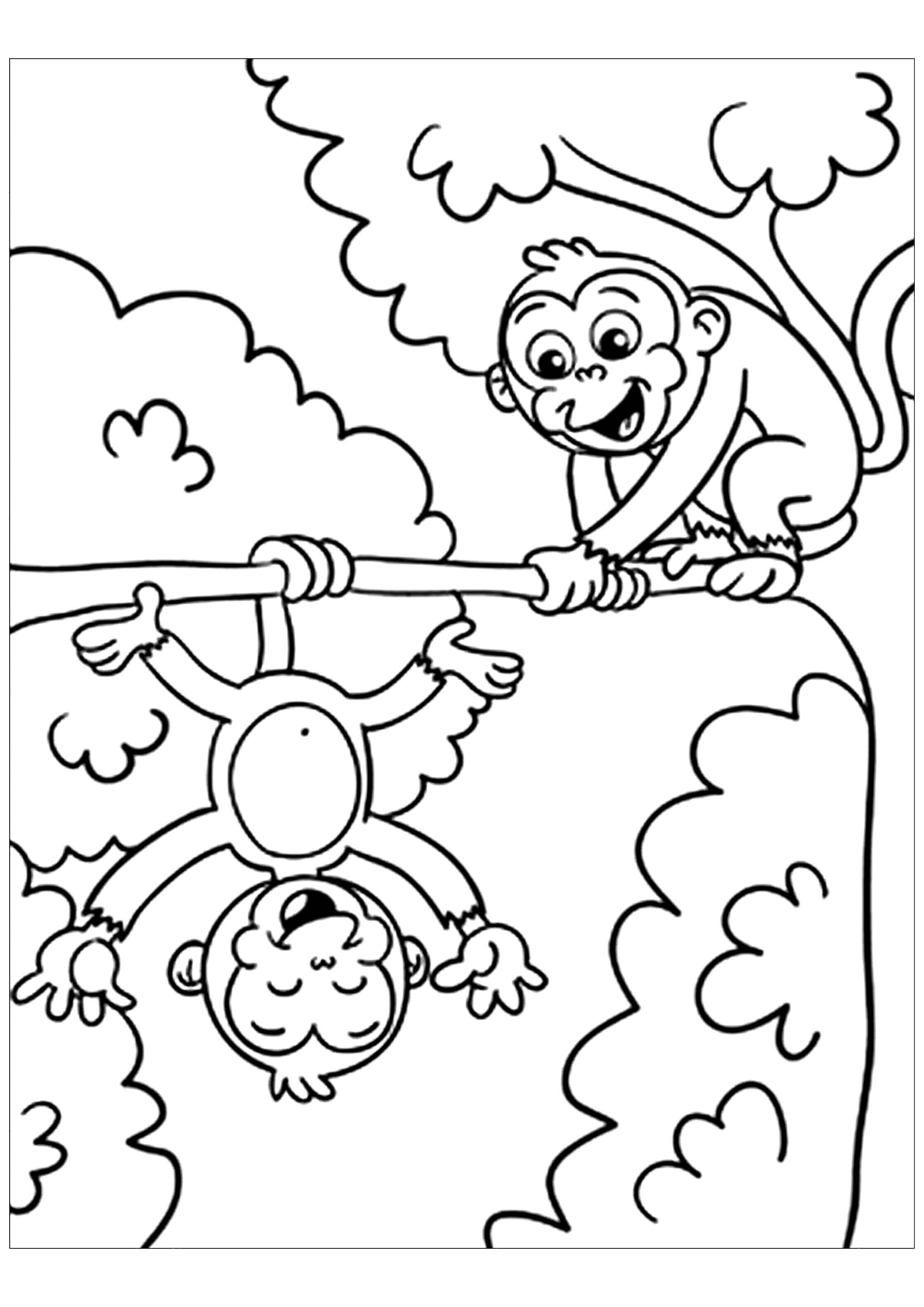 Free monkey drawing to print and color - Monkeys Kids Coloring Pages