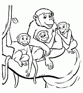 Monkey coloring pages for kids