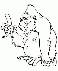 Monkey image to download and color