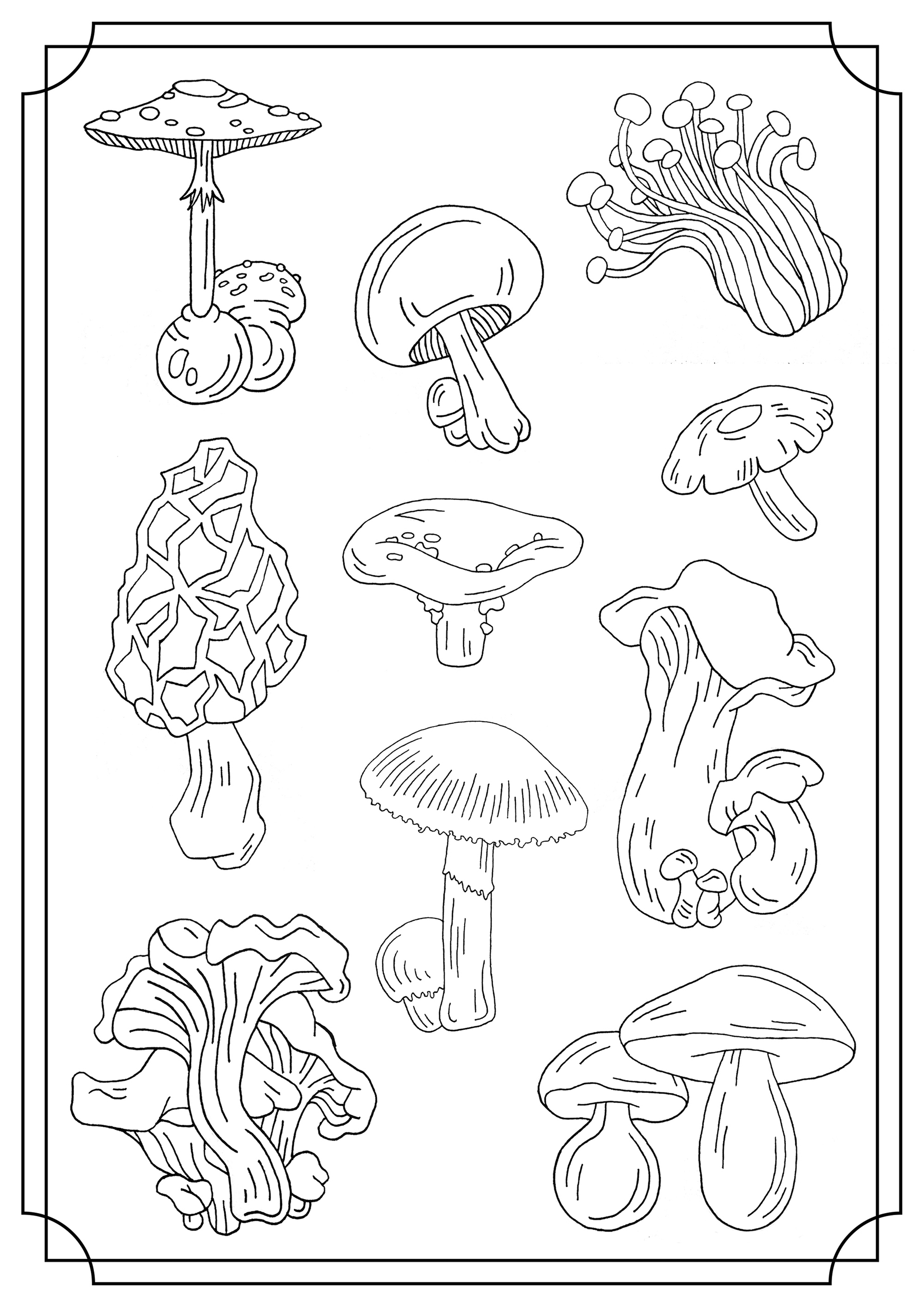 Easy Mushroom Coloring Pages Coloring Pages