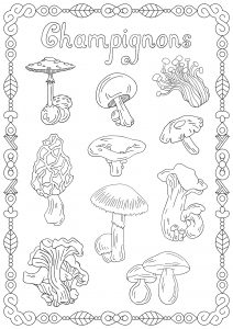 Mushrooms with text