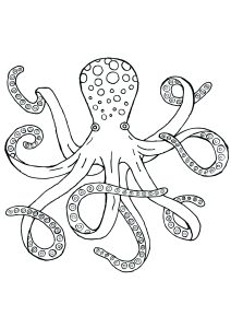 Coloring page octopuses to download