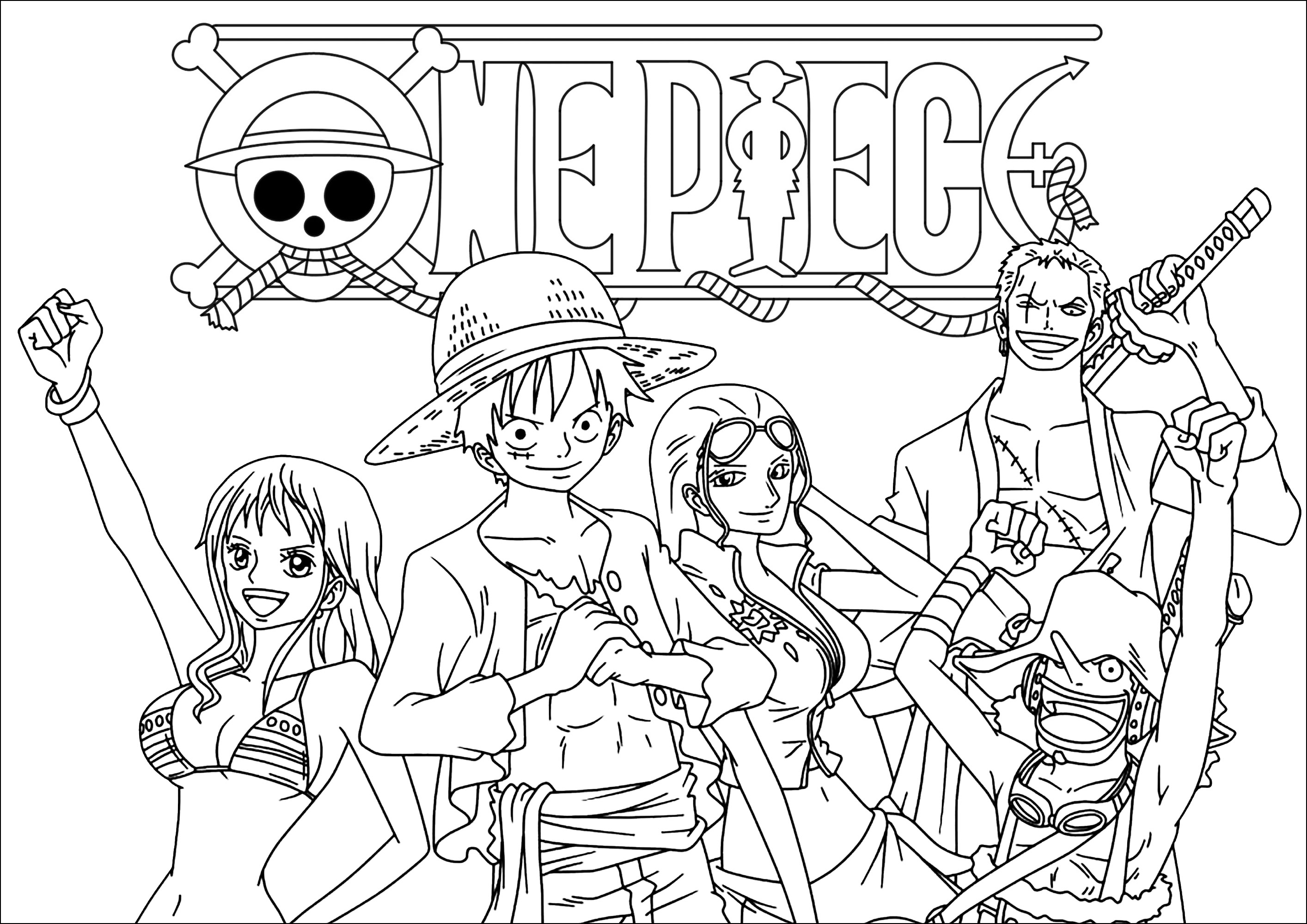 One Piece Characters Log - Luffy And Zoro