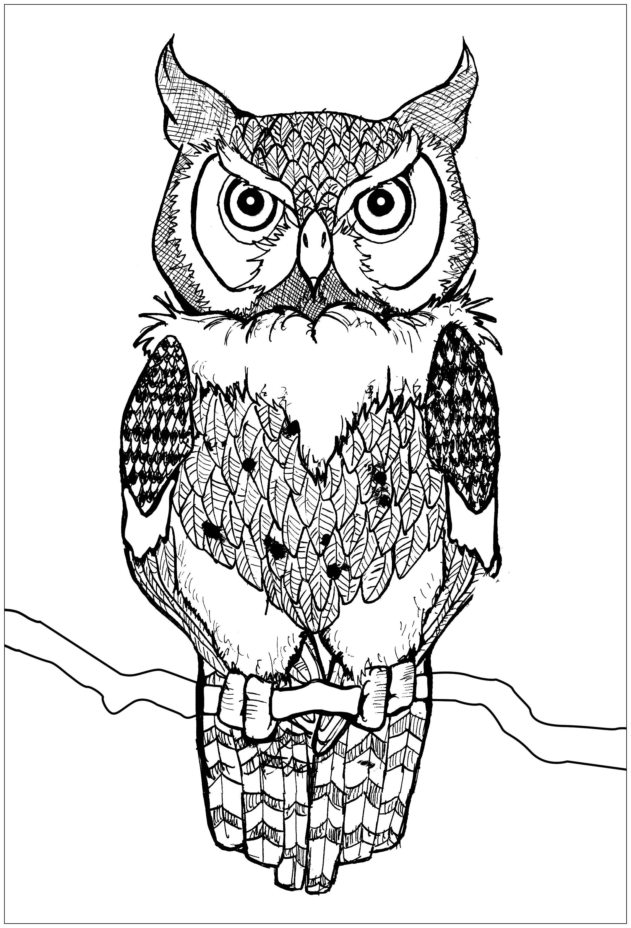 Coloring Pages Of Owls For Kids / Owl coloring page line illustration