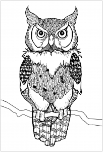 Free owl drawing to download and color