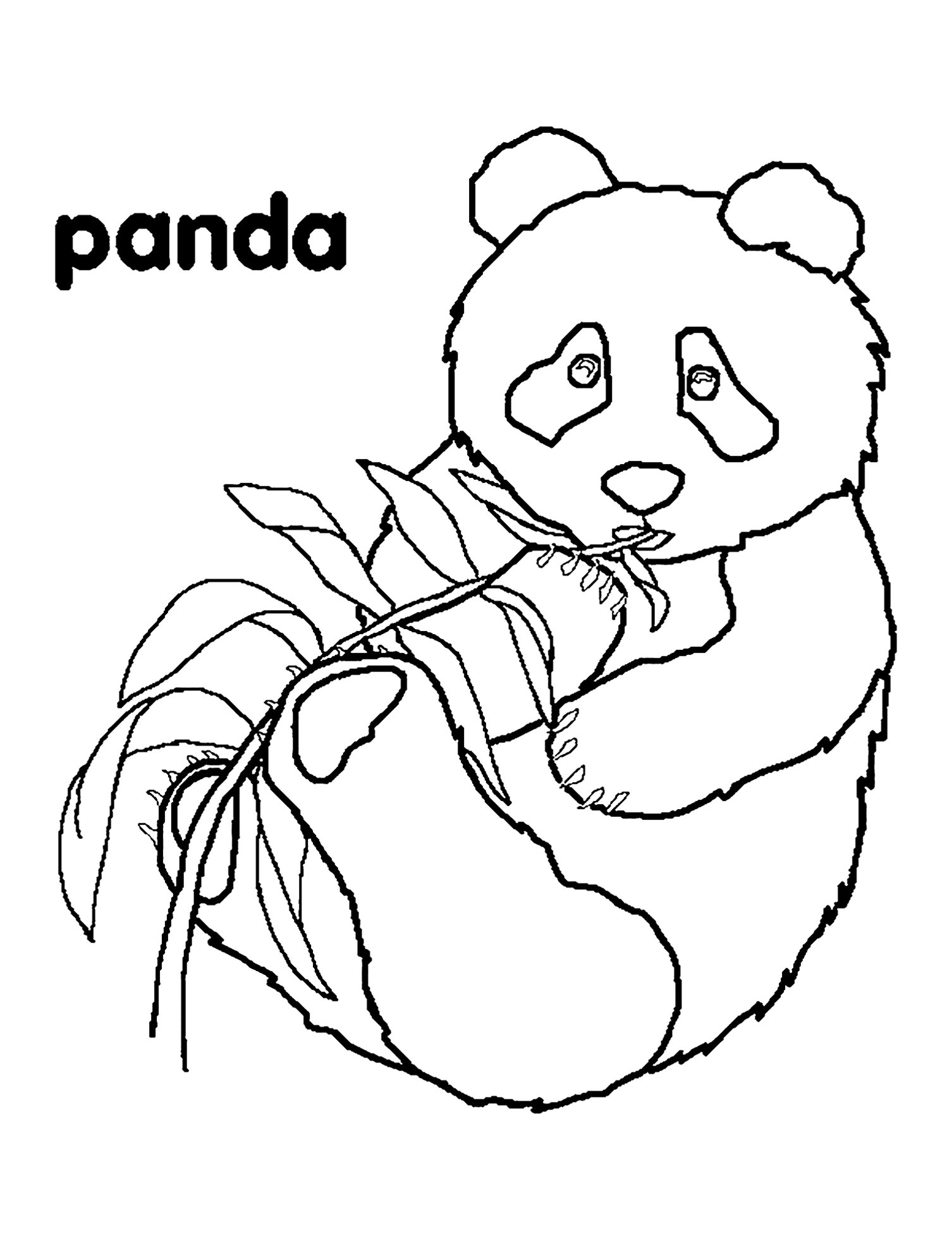 Pandas for children - Pandas Kids Coloring Pages