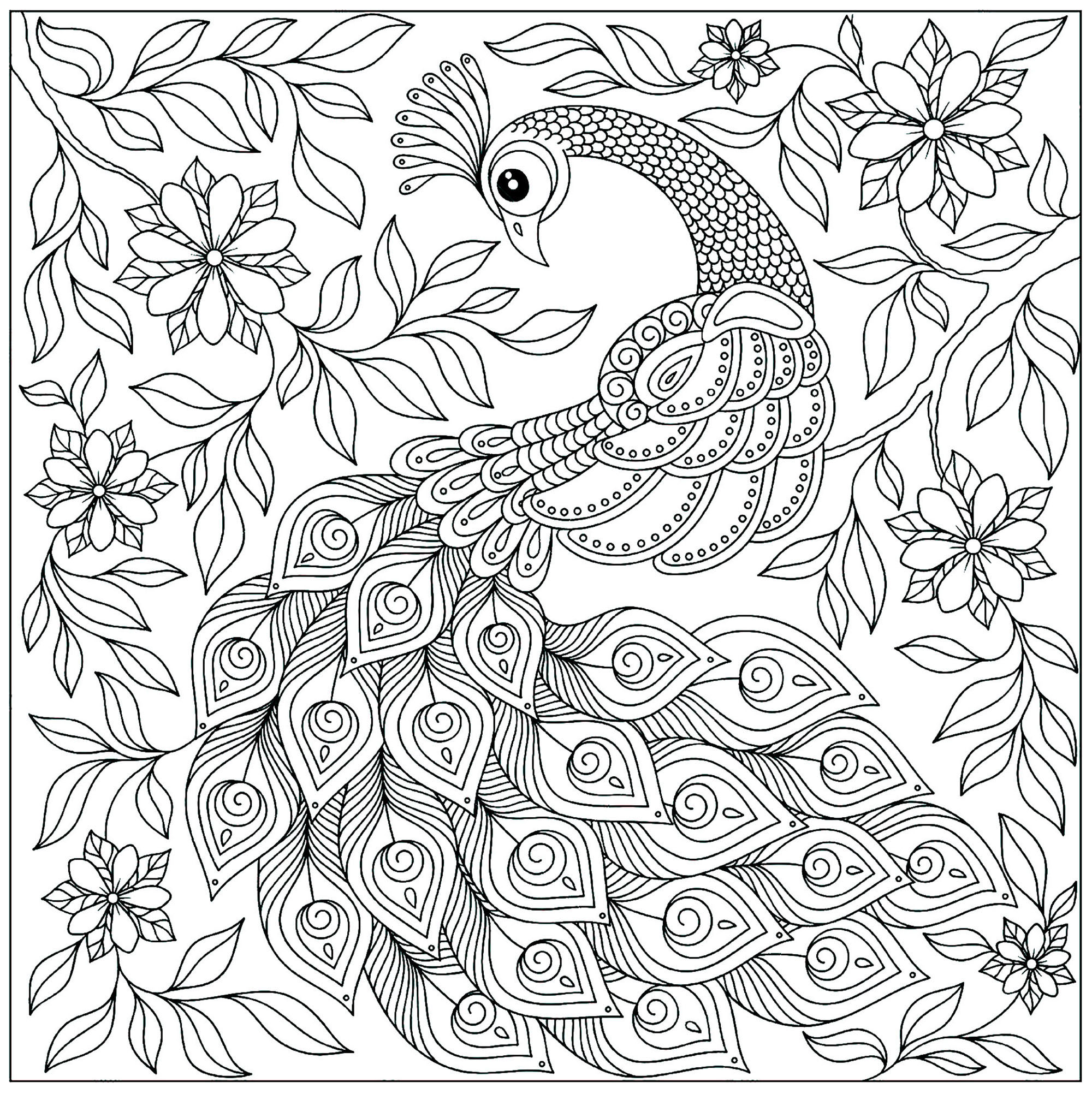 Peacocks to print - Peacocks Kids Coloring Pages