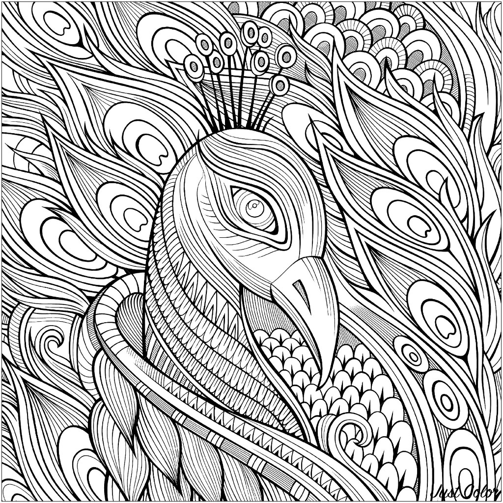 Peacocks to print for free - Peacocks Kids Coloring Pages