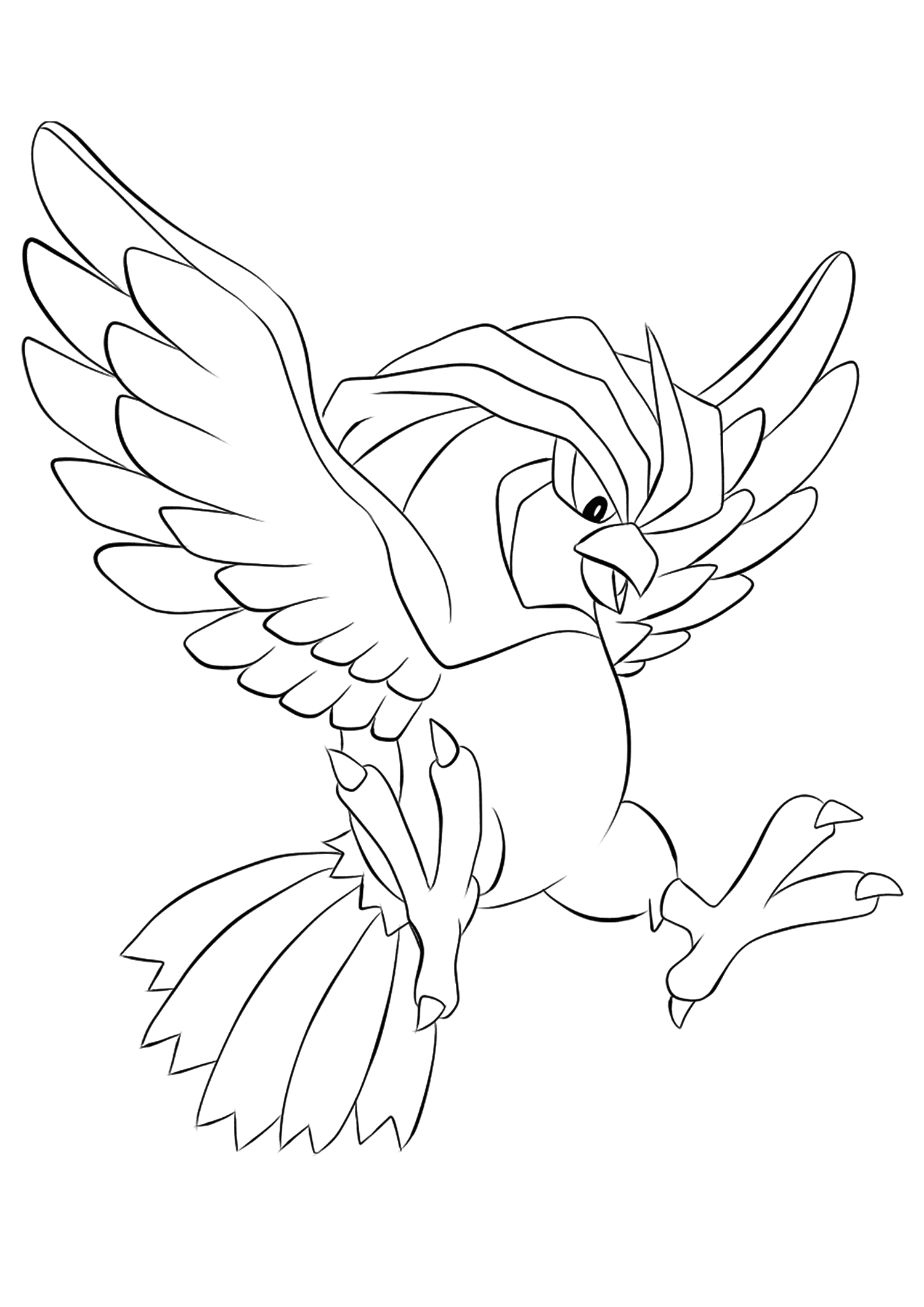 legendary bird pokemon coloring pages