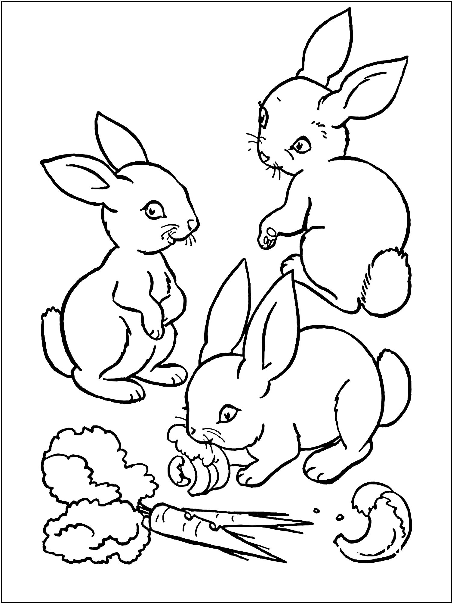 Printable bunnies coloring pages for kids - Rabbits & Bunnies Kids ...
