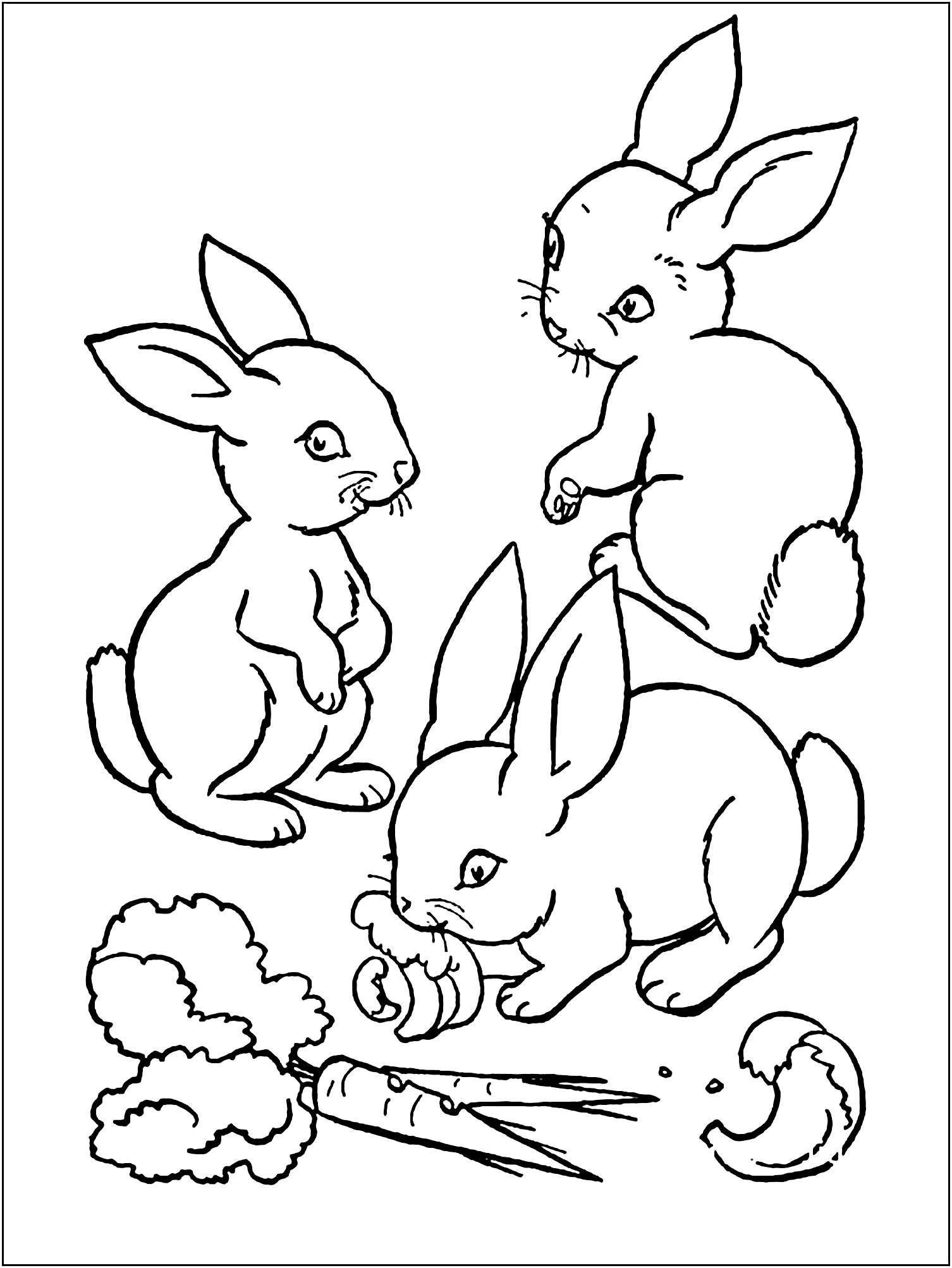 Rabbit Printable Coloring Pages Printable Word Searches