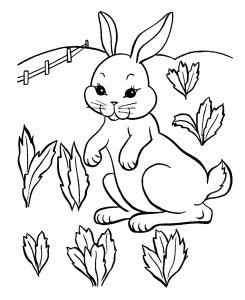 Rabbit Free Printable Coloring Pages For Kids - roblox piggy bunny coloring pages