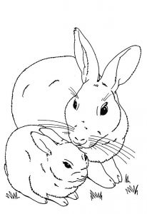Rabbits & Bunnies Free printable Coloring pages for kids