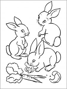 Free rabbit drawing to print and color - Rabbits & Bunnies Kids Coloring  Pages