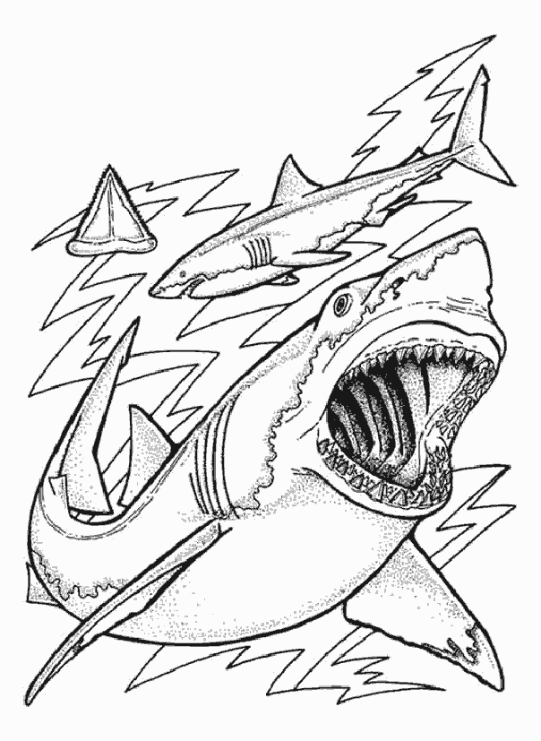 Shark coloring pages to download - Sharks Kids Coloring Pages