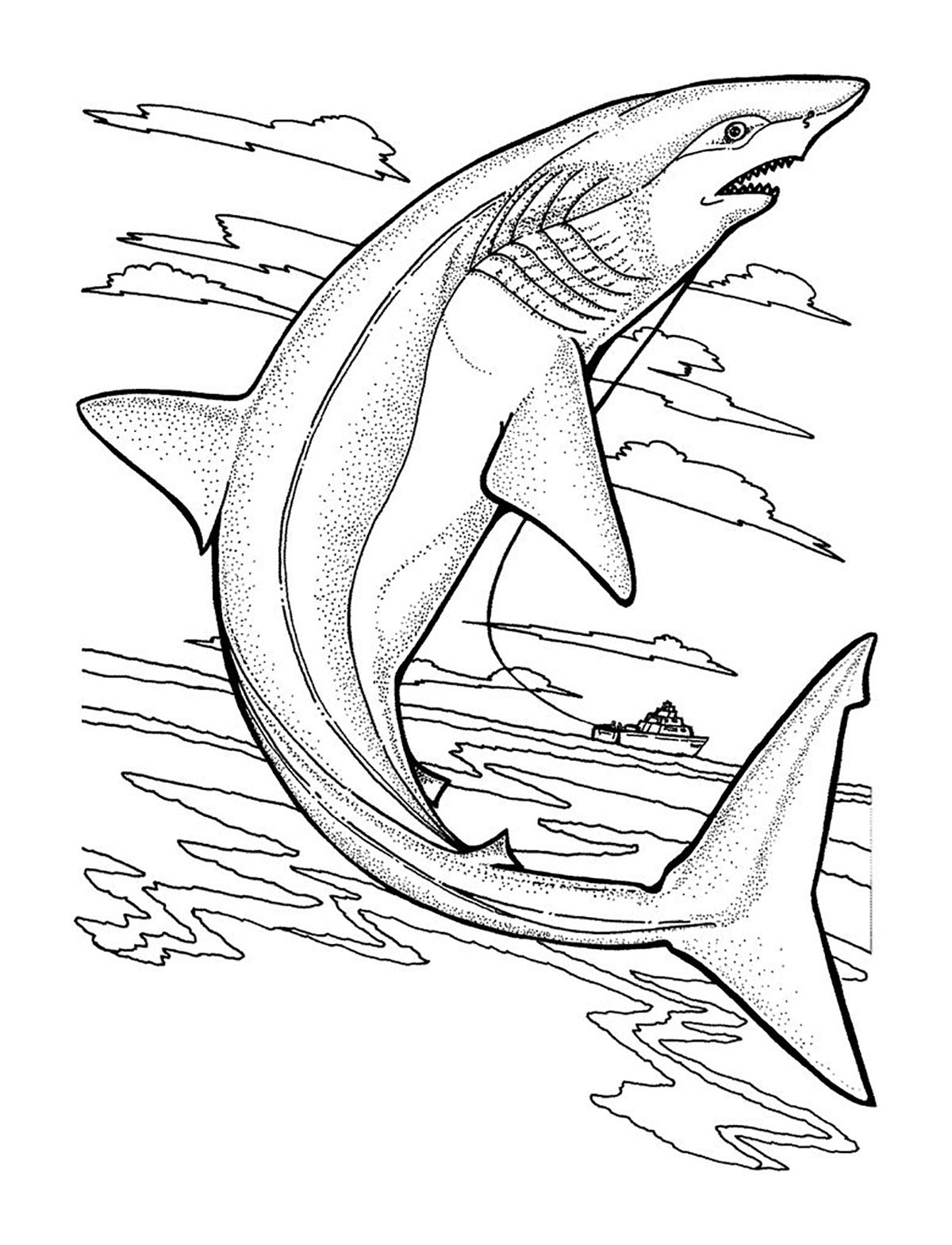 24 Printable Shark Coloring Pages : Free Coloring Pages