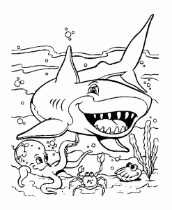 7800 Cartoon Shark Coloring Pages Pictures