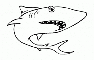Shark image to download and color