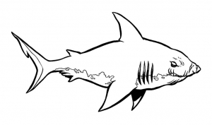Free shark coloring pages