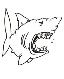Baby Shark Coloring Pages Pdf