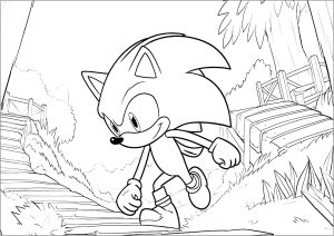 Download Sonic The Hedgehog Coloring Pages