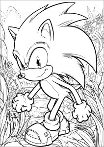 Free Printable Sonic Toys Coloring Page, Sheet and Picture for