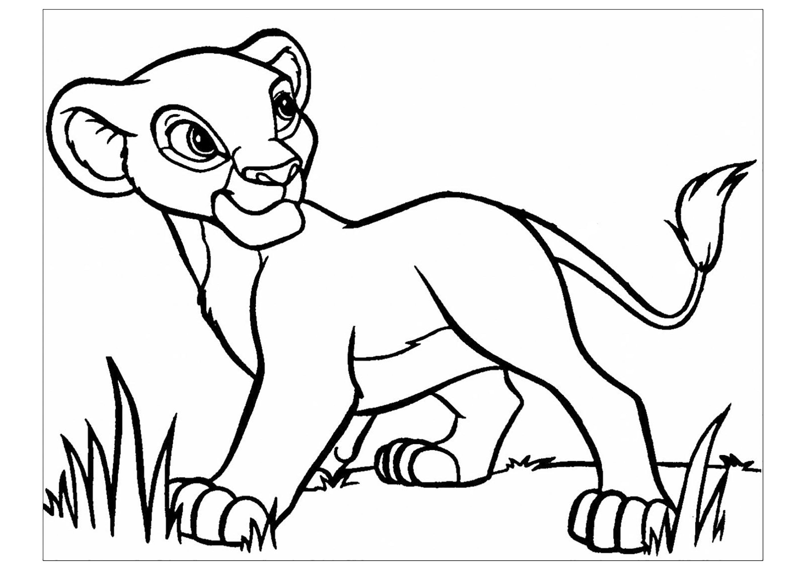 Young Simba  The Lion King Kids Coloring Pages