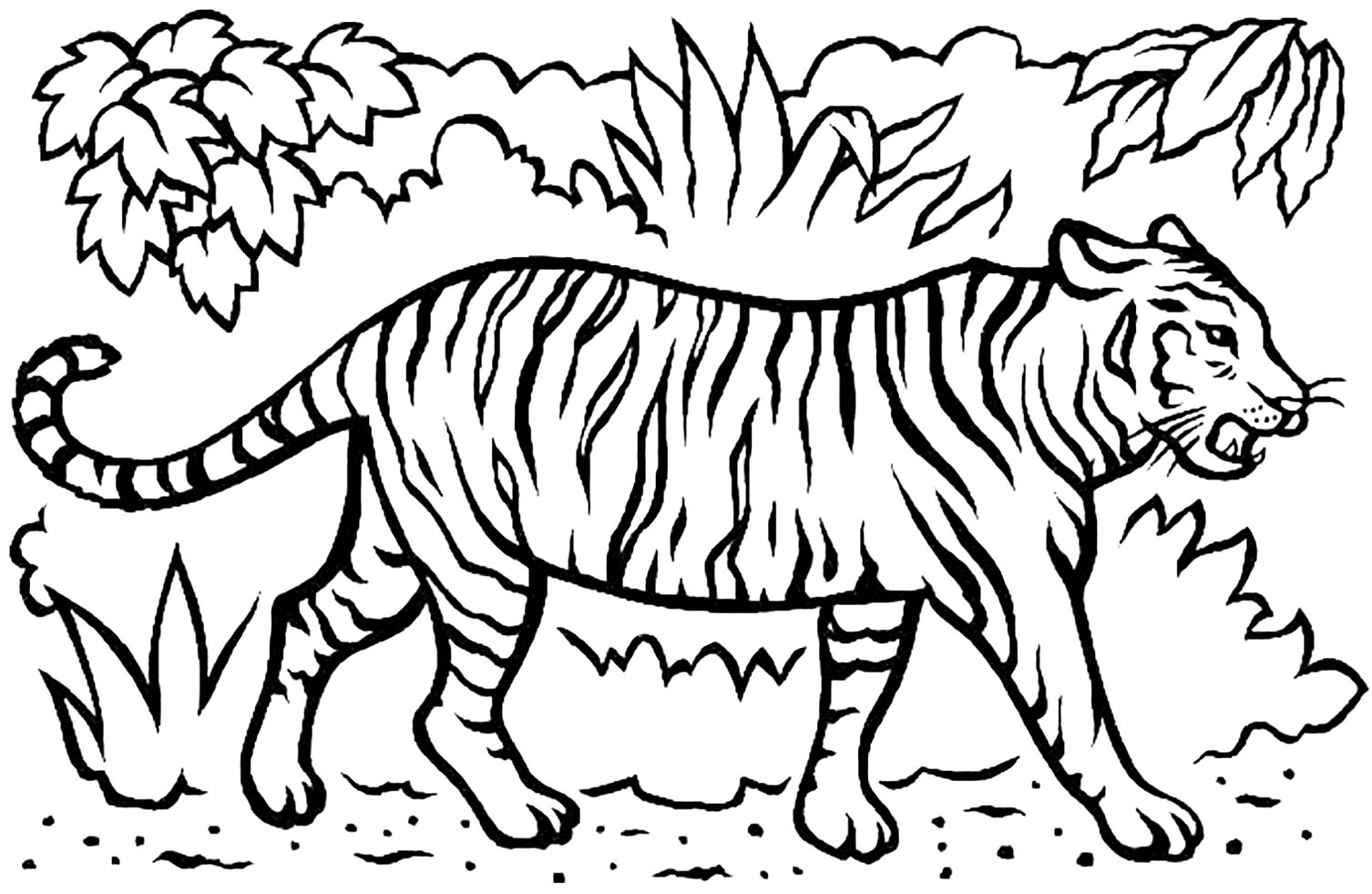 Download Tigers to download - Tigers Kids Coloring Pages