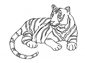 Tigers Free printable Coloring pages for kids