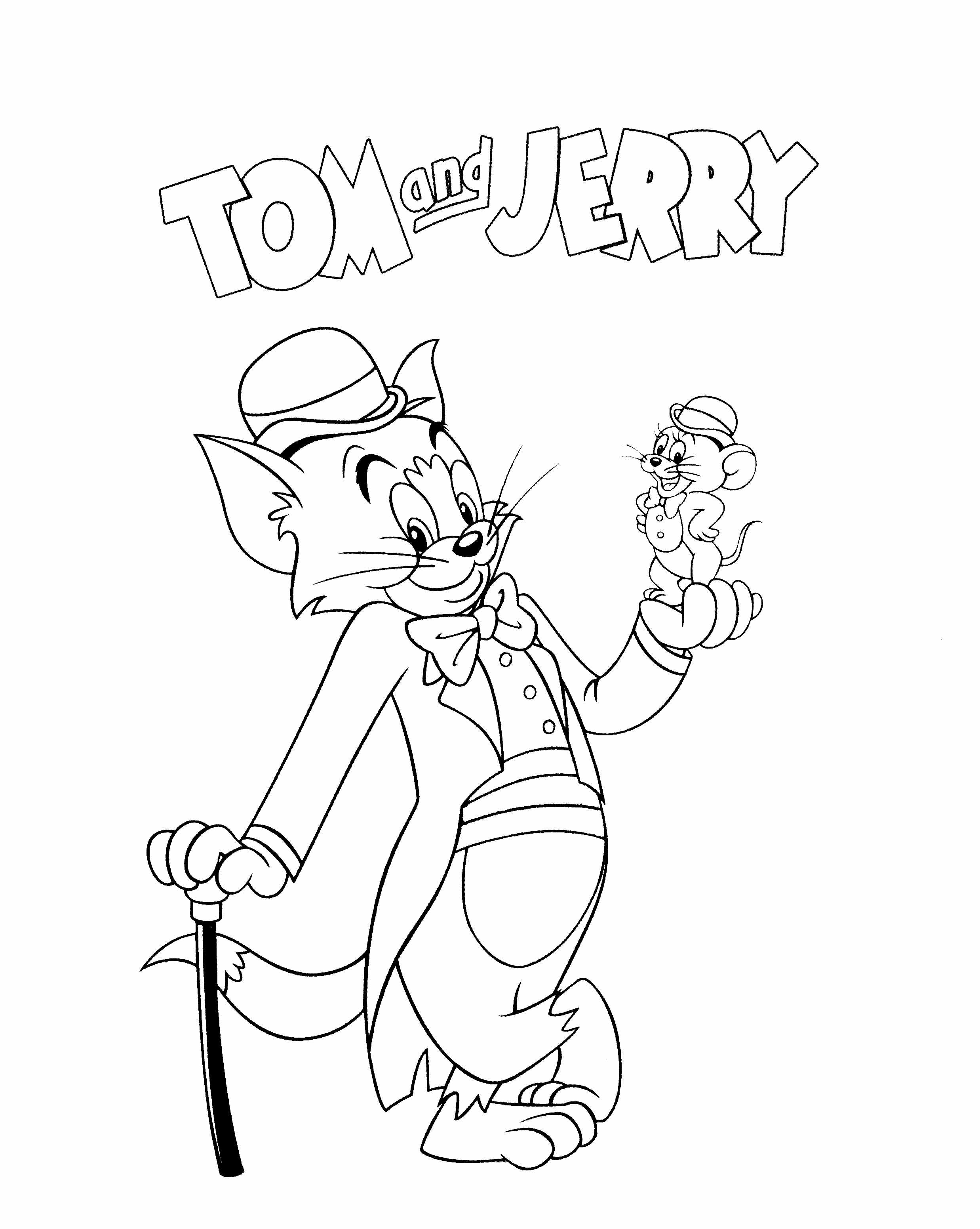Tom  Jerry Sketch No1 Poster