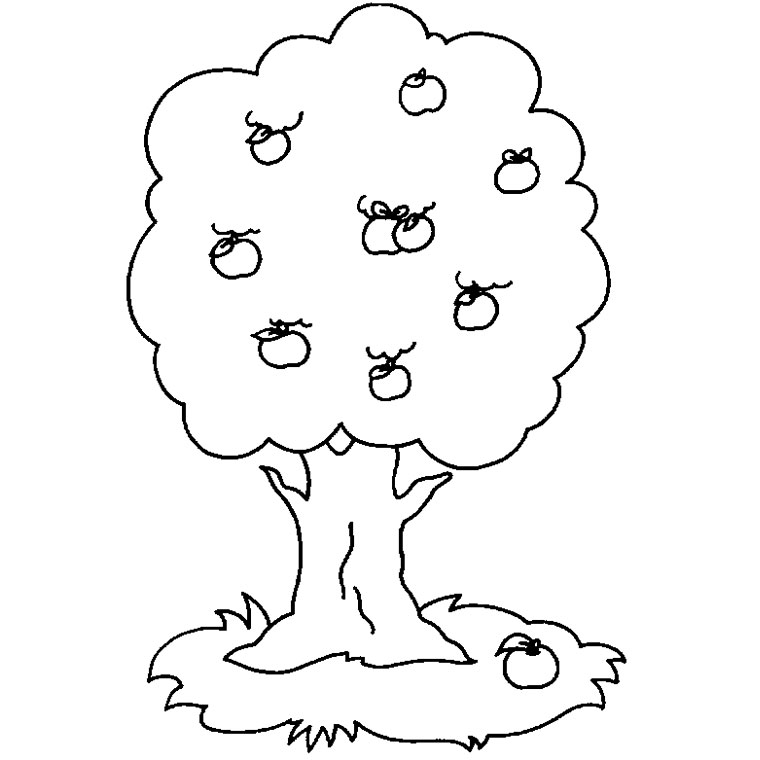 simple apple tree drawing