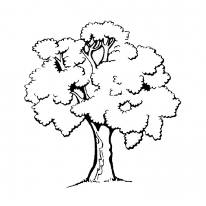 Trees - Free printable Coloring pages for kids
