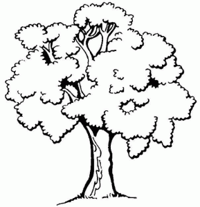 tree log coloring page