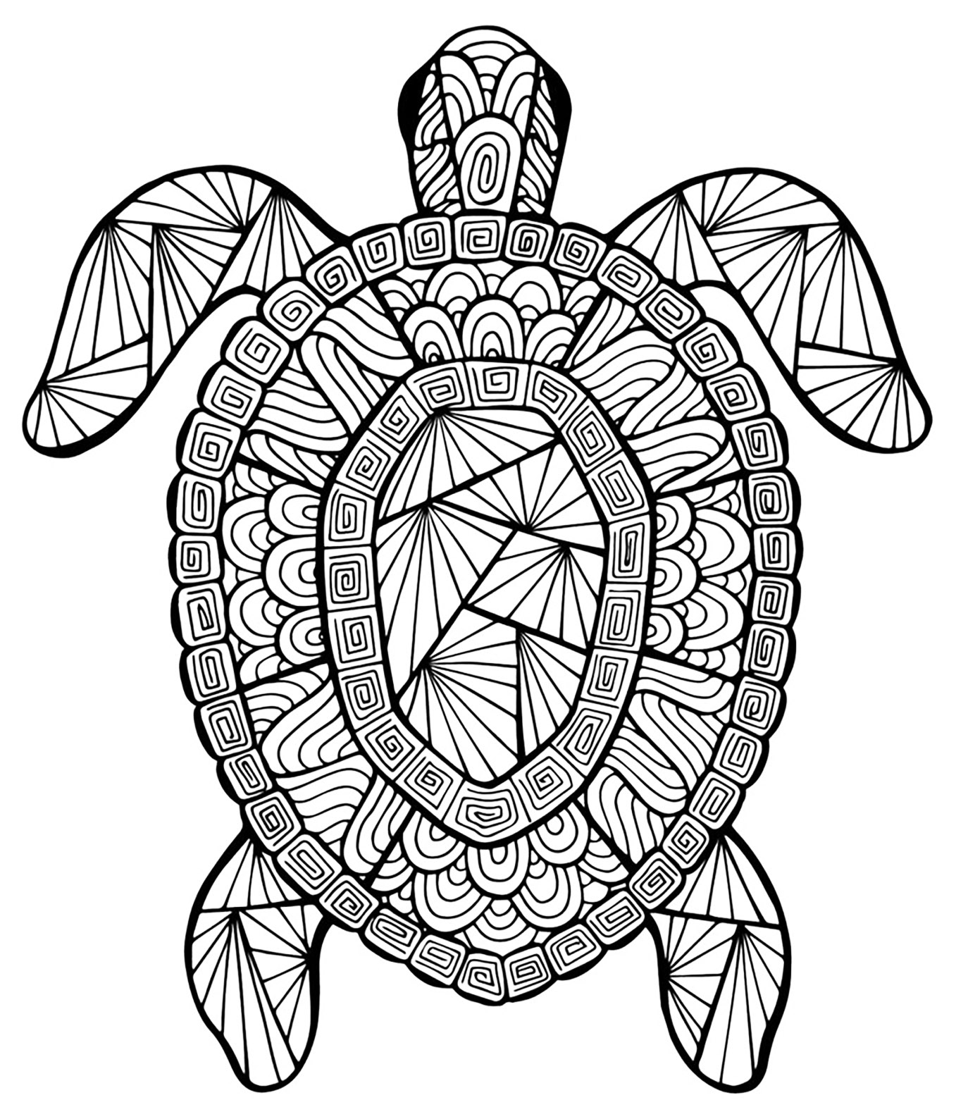 A turtle with complex patterns, to print and color