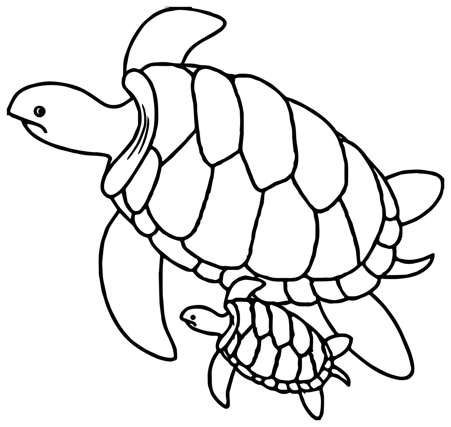 Turtle drawing to print and color