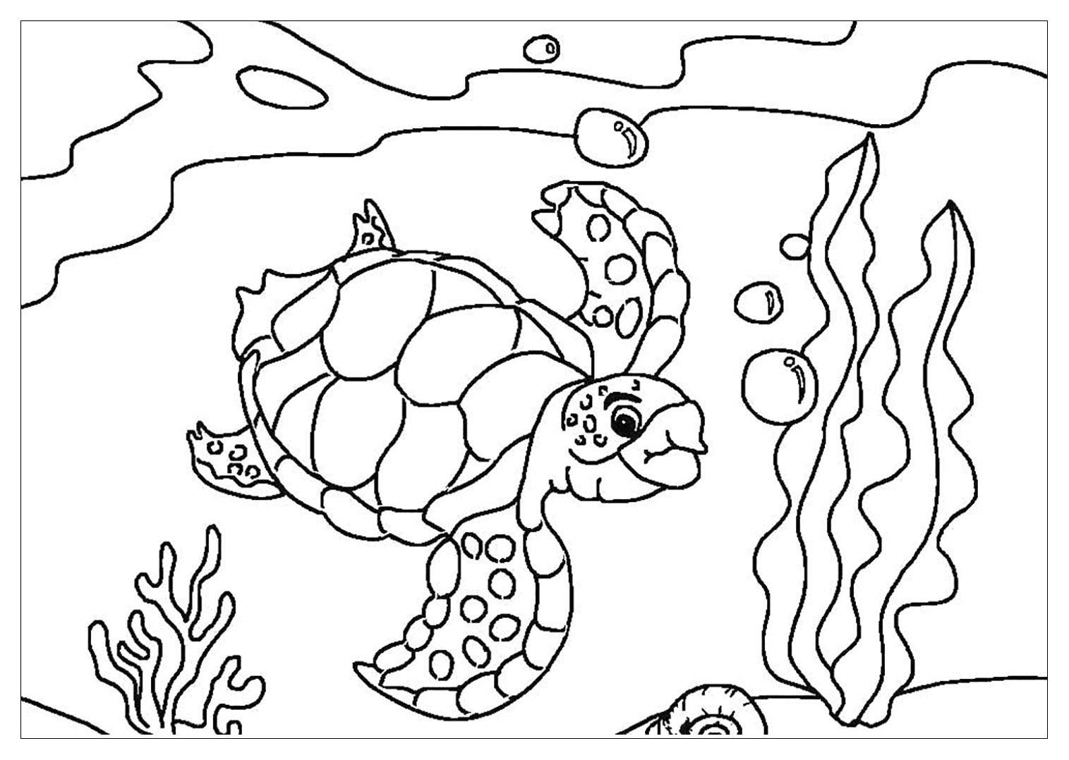 Turtles to print - Turtles Kids Coloring Pages