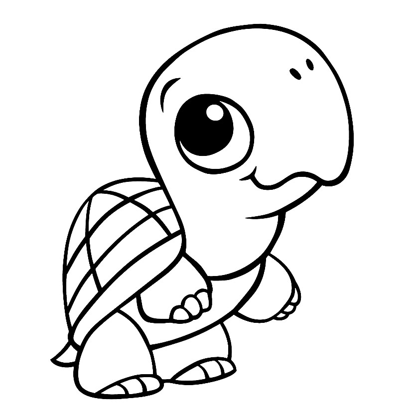 Turtle image to download and print for children