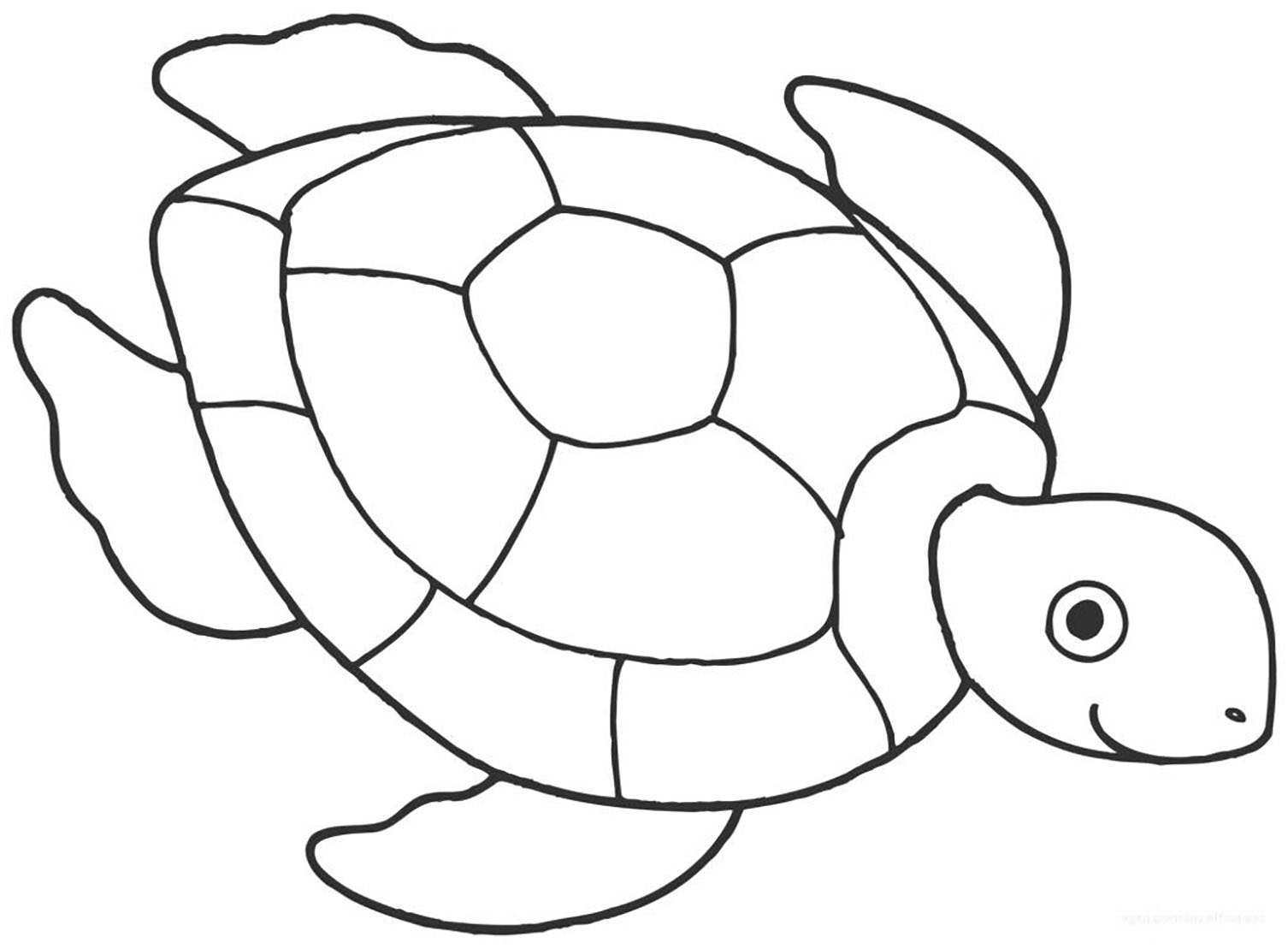 Turtle drawing to color, easy for children