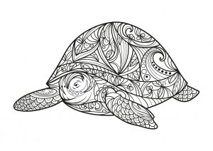 baby sea turtles coloring pages